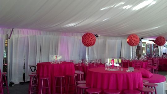 birthday party under white sided tent